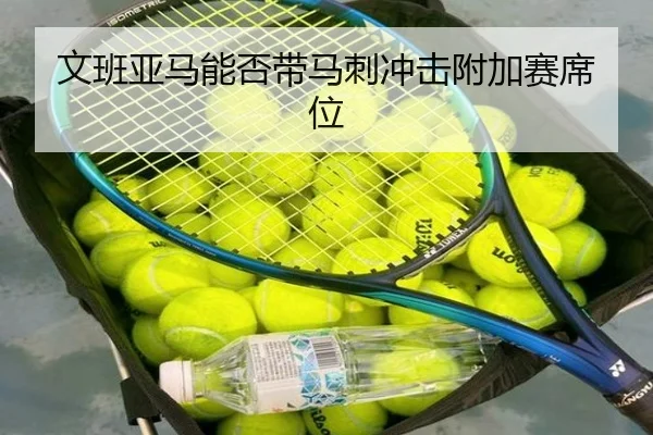 文班亚马能否带马刺冲击附加赛席位